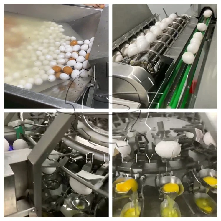 Industrial Egg Cracking Machine suppliers