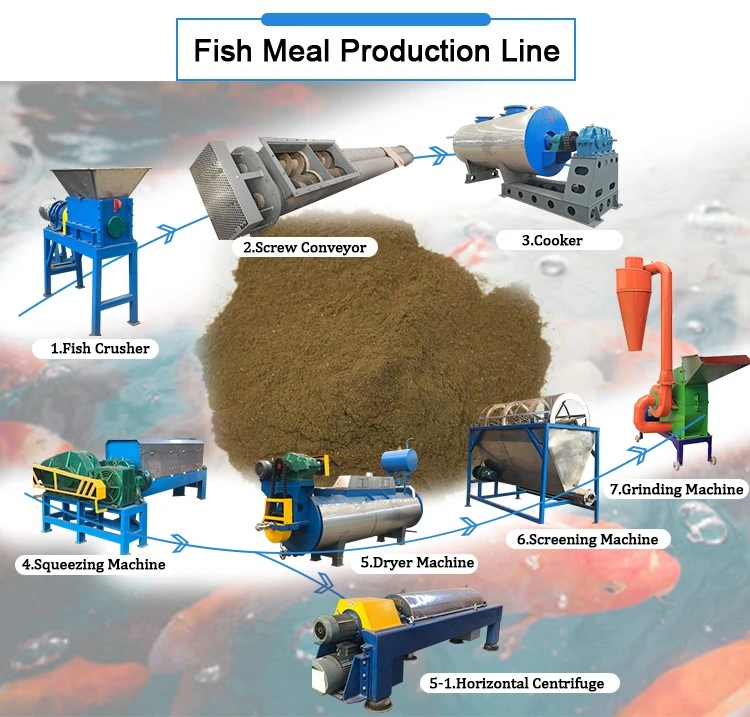 fish meal processing equipment fish meal processing equipment
