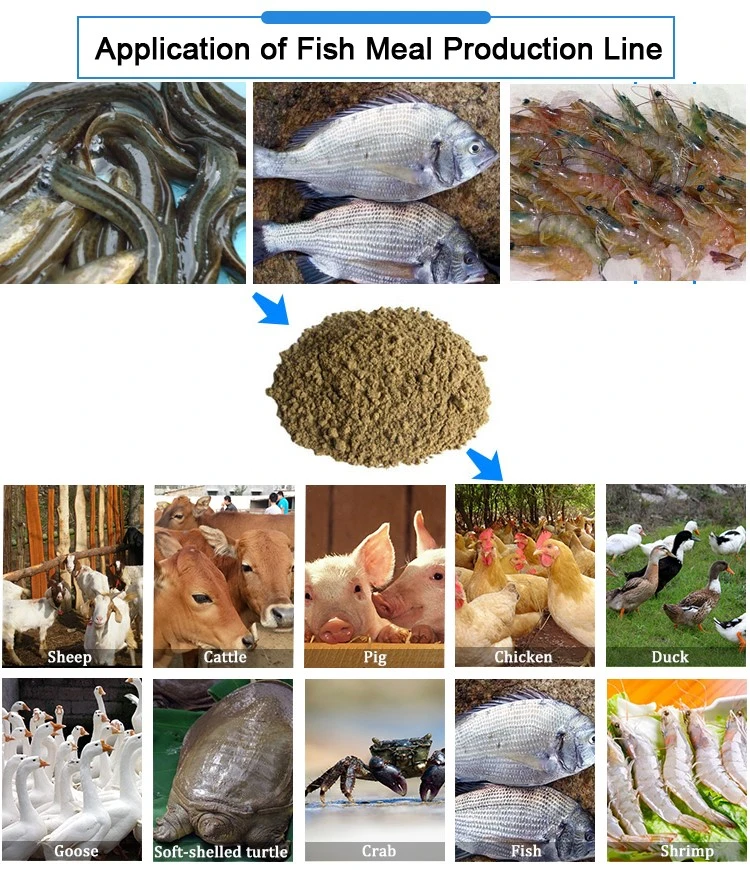 fish meal processing equipment fish meal processing equipment