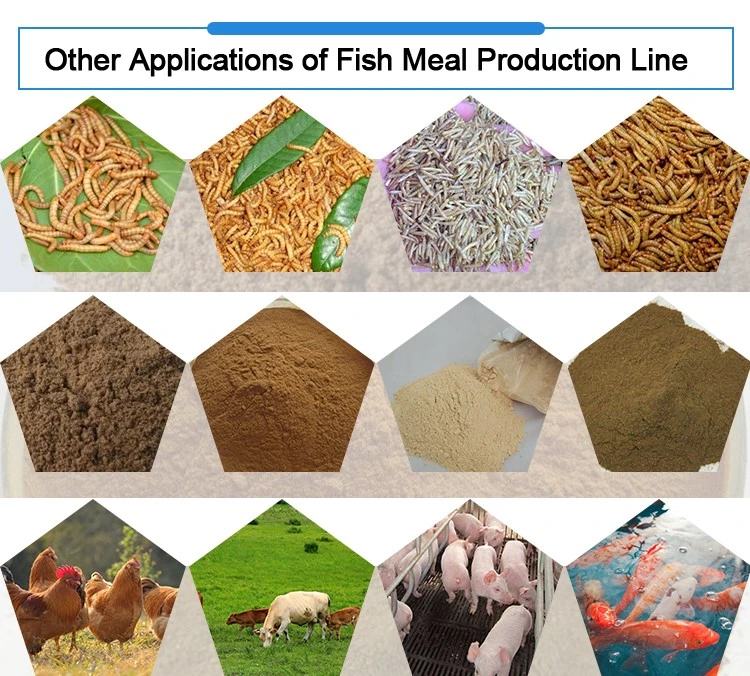 fish meal processing equipment fish meal processing equipment