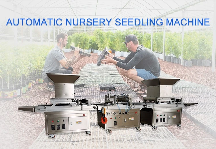 nursery seed sowing machine nursery seed sowing machine