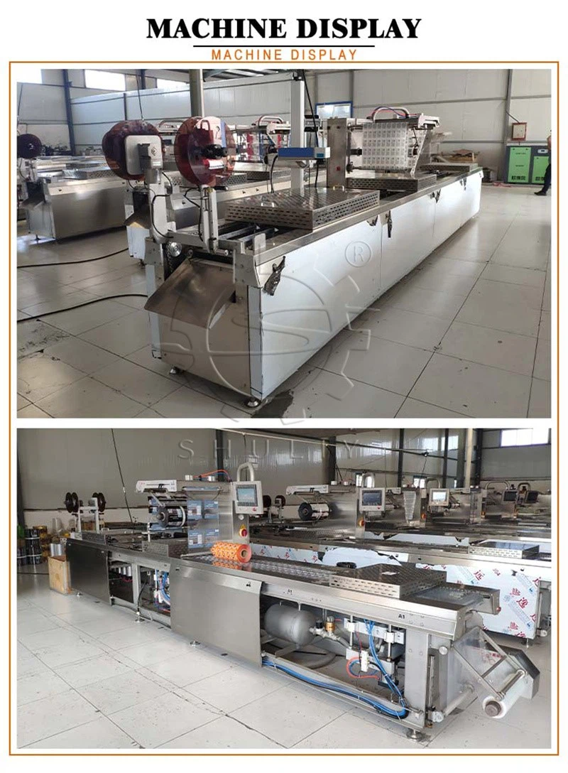 stretch vacuum packing machine stretch vacuum packing machine