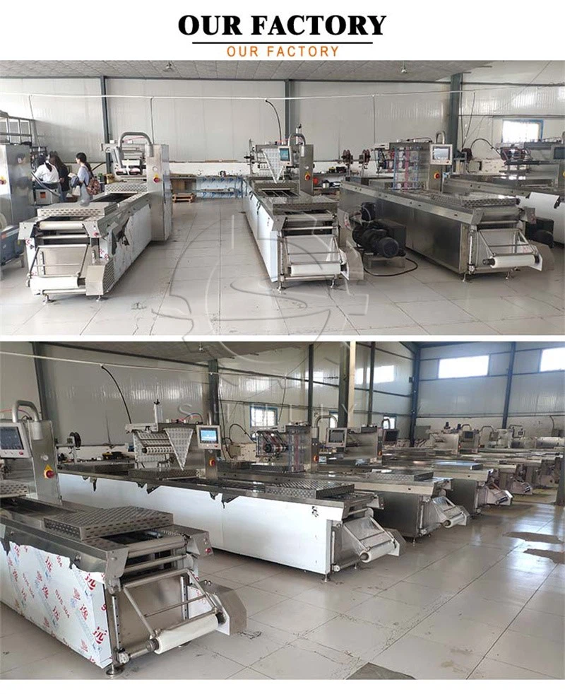 stretch vacuum packing machine stretch vacuum packing machine