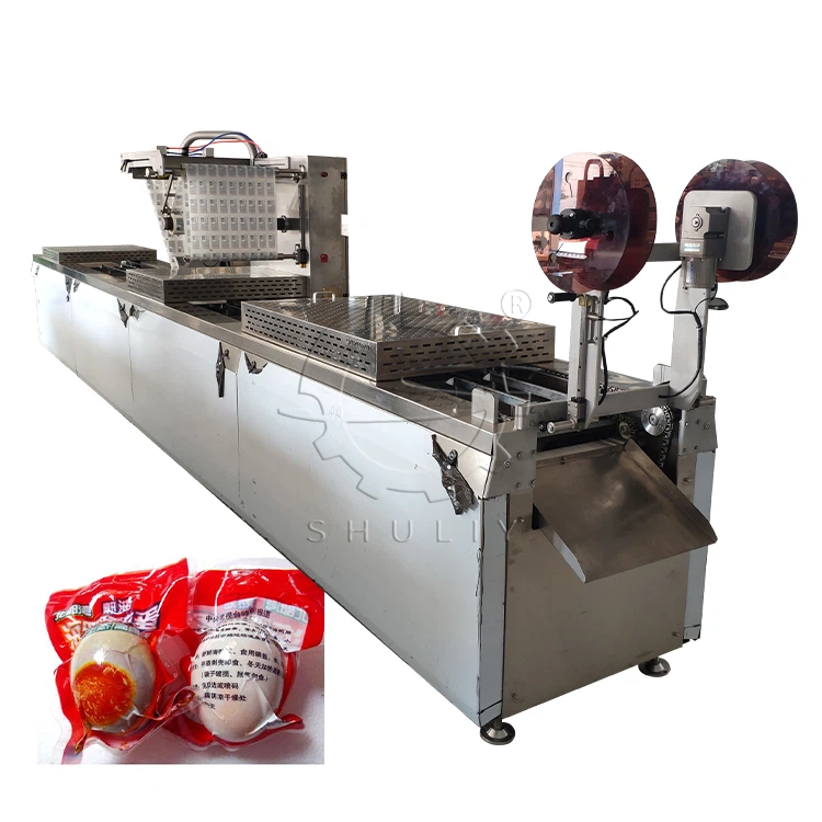 Stretch Vacuum Packing Machine (2)